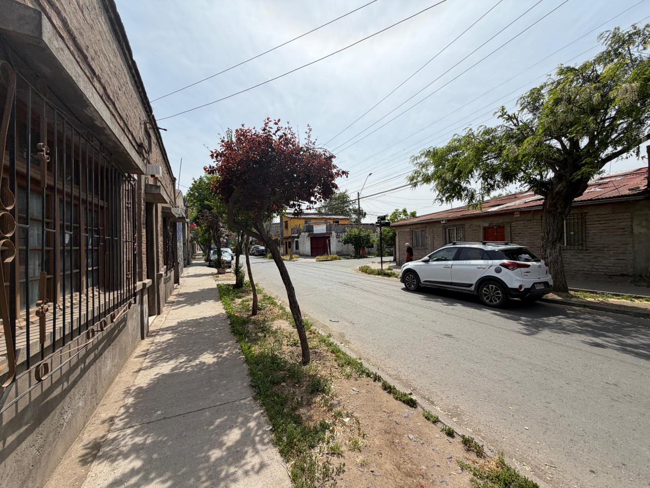 WhatsApp Image 2025-10-21 at 12.23.29 PM-3