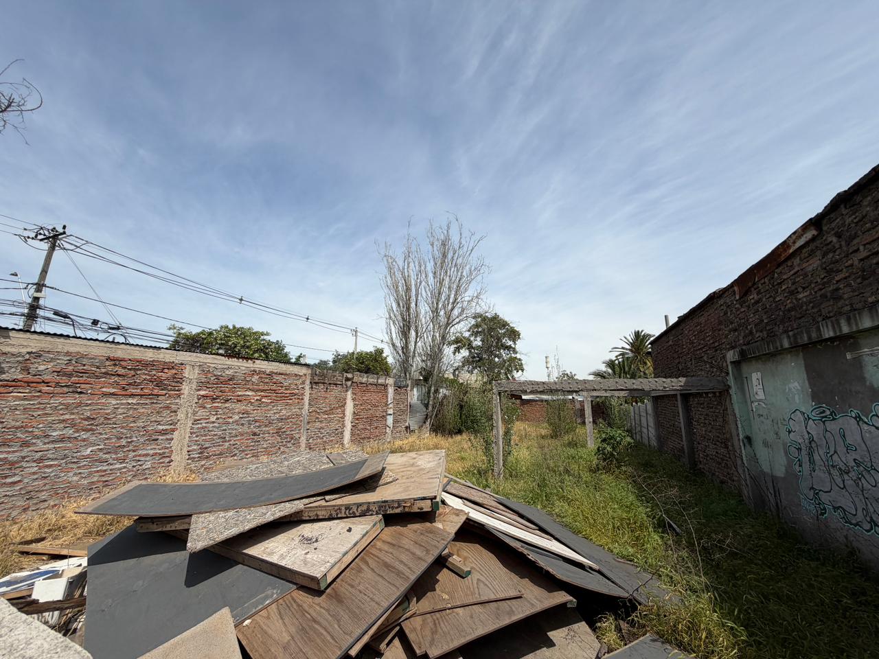 WhatsApp Image 2025-10-21 at 12.23.29 PM